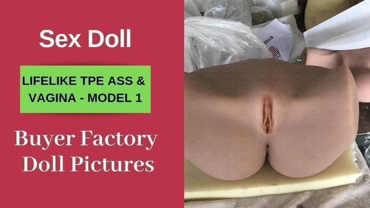 Buyer Customized Sex Doll Pictures LIFELIKE TPE ASS & VAGINA - MODEL 1-Sex Doll Genie